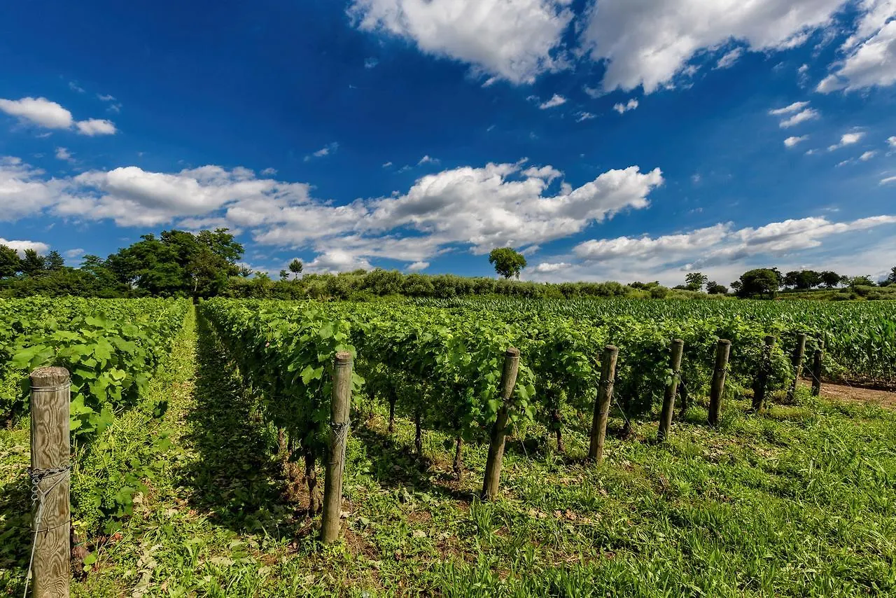 Agriturismo Moscatello Pozzolengo